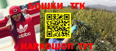 гидропоника Аша