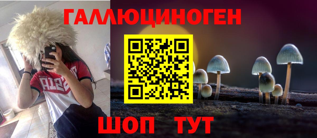 Псилоцибиновые грибы прущие грибы Джанкой